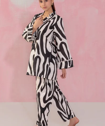Paltar 2pc Printed Khaddar